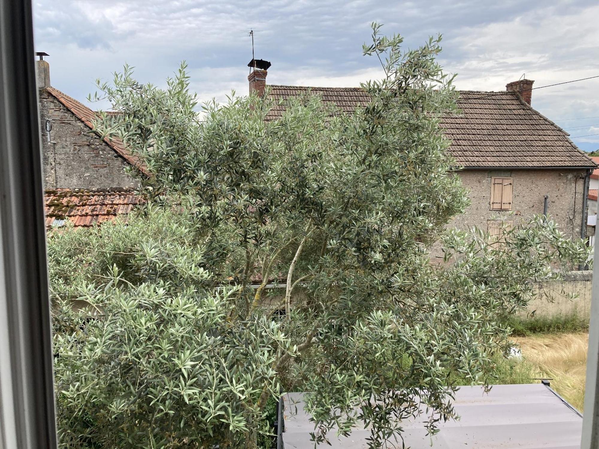 Location Appartement Des Pyrenees Borderes-sur-l'Echez الغرفة الصورة